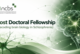 NCBS Post Doctoral Fellowship