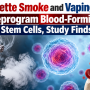 Cigarette Smoke and Vaping May Reprogram Blood-Forming Stem Cells, Study Finds