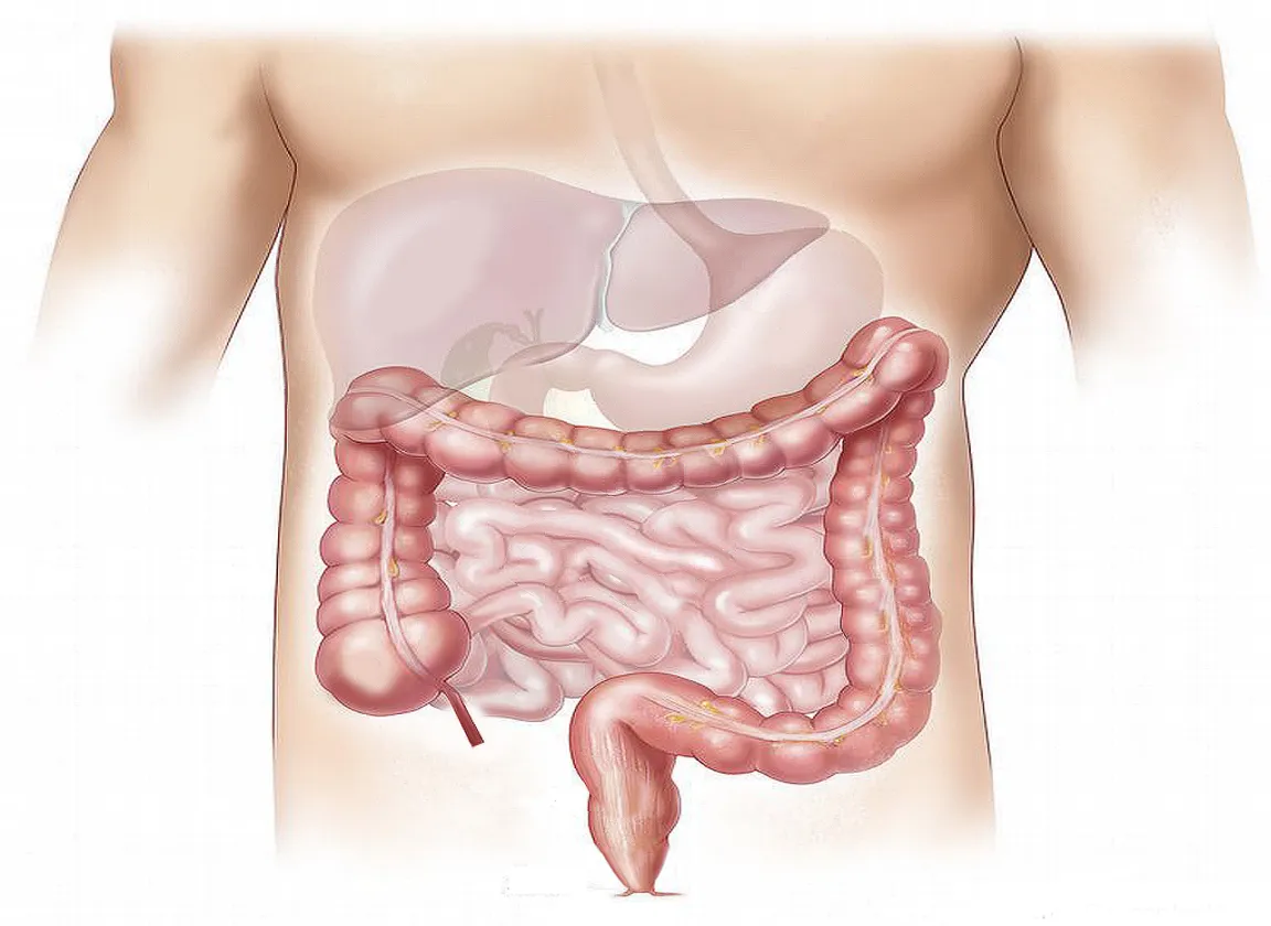 Healthy liver can protect against diabetes and heart diseases