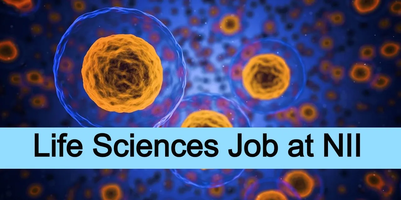 Vacancy for Junior Research Fellow at NII
