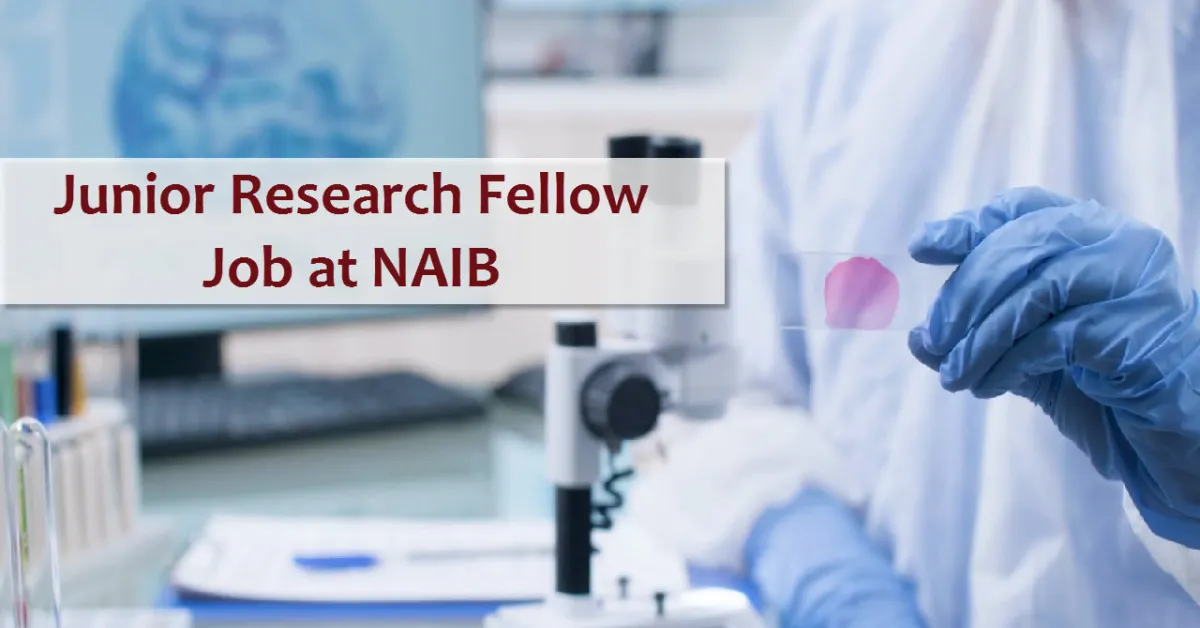 Vacancy for Junior Research Fellow at NAIB 