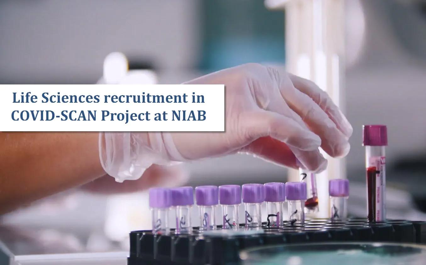 Vacancy for Junior Research Fellow at NIAB