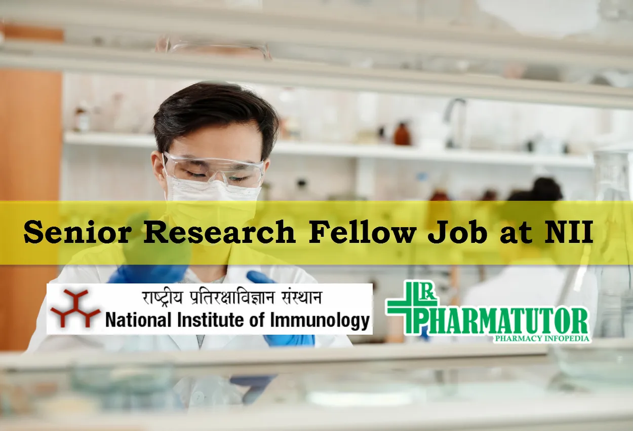 Vacancy for Senior Research Fellow at NII