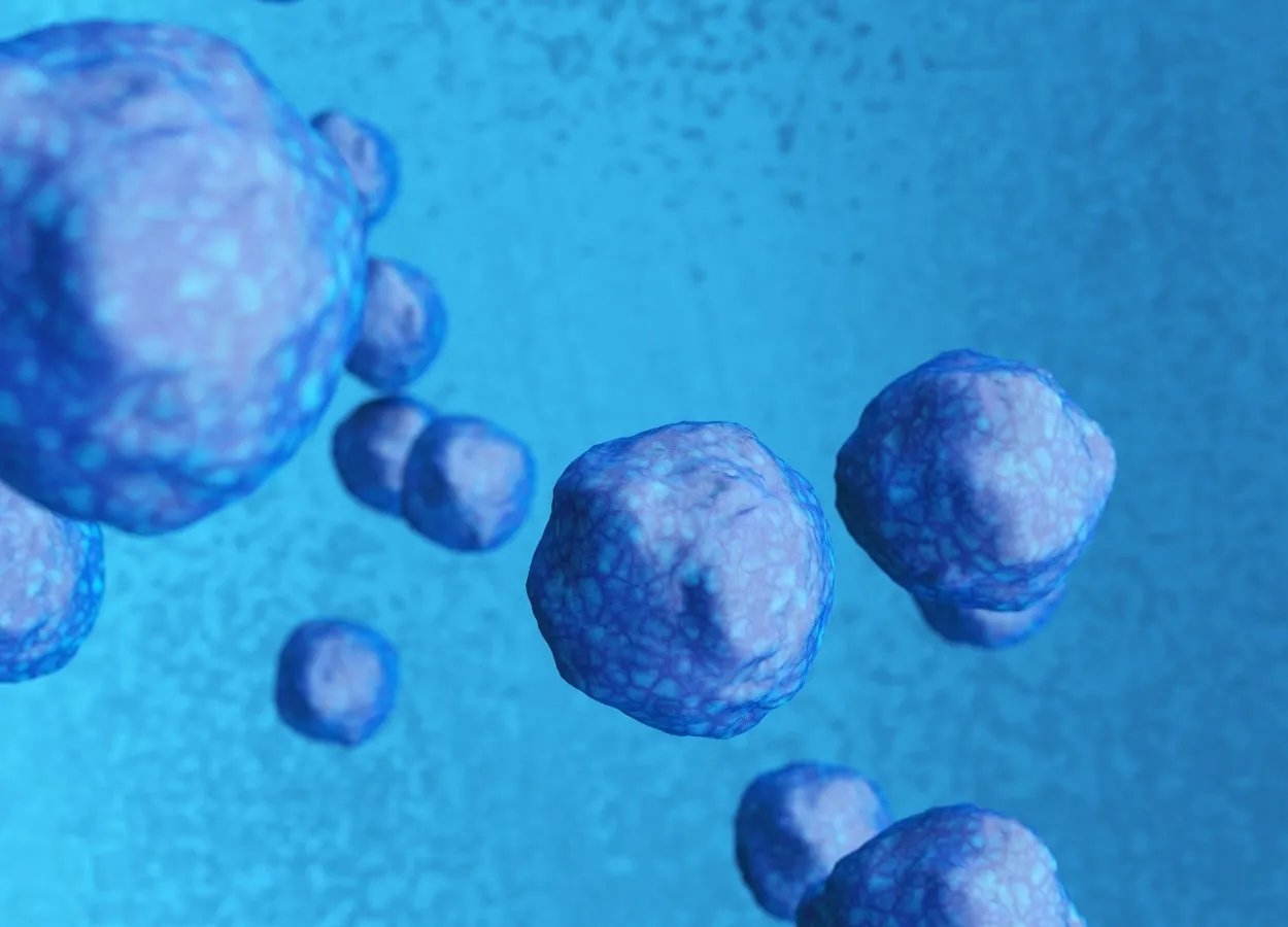 Hematopoietic Stem Cell Transplants May Provide Long-Term Benefit