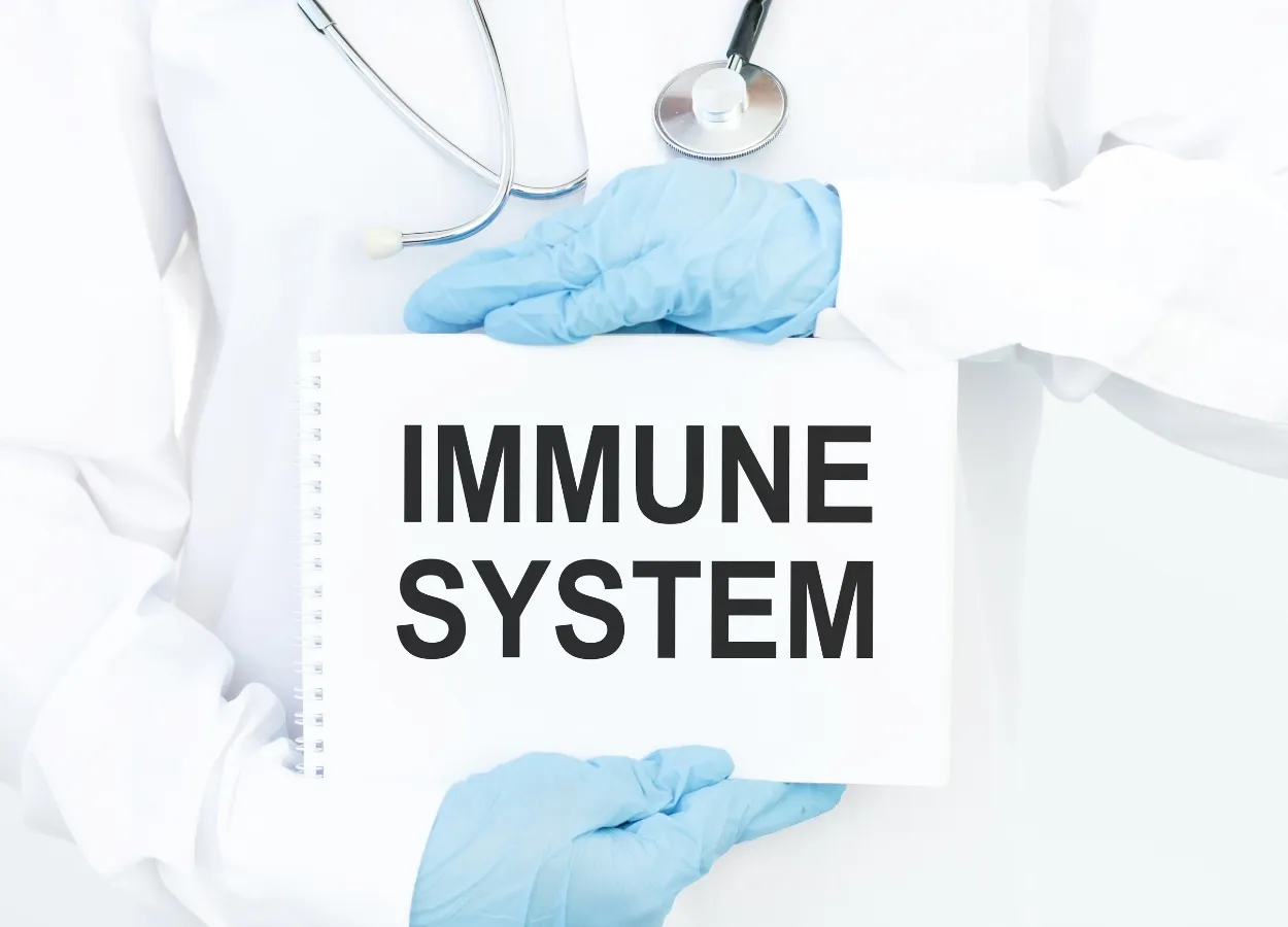 Model analyzes how viruses escape the immune system
