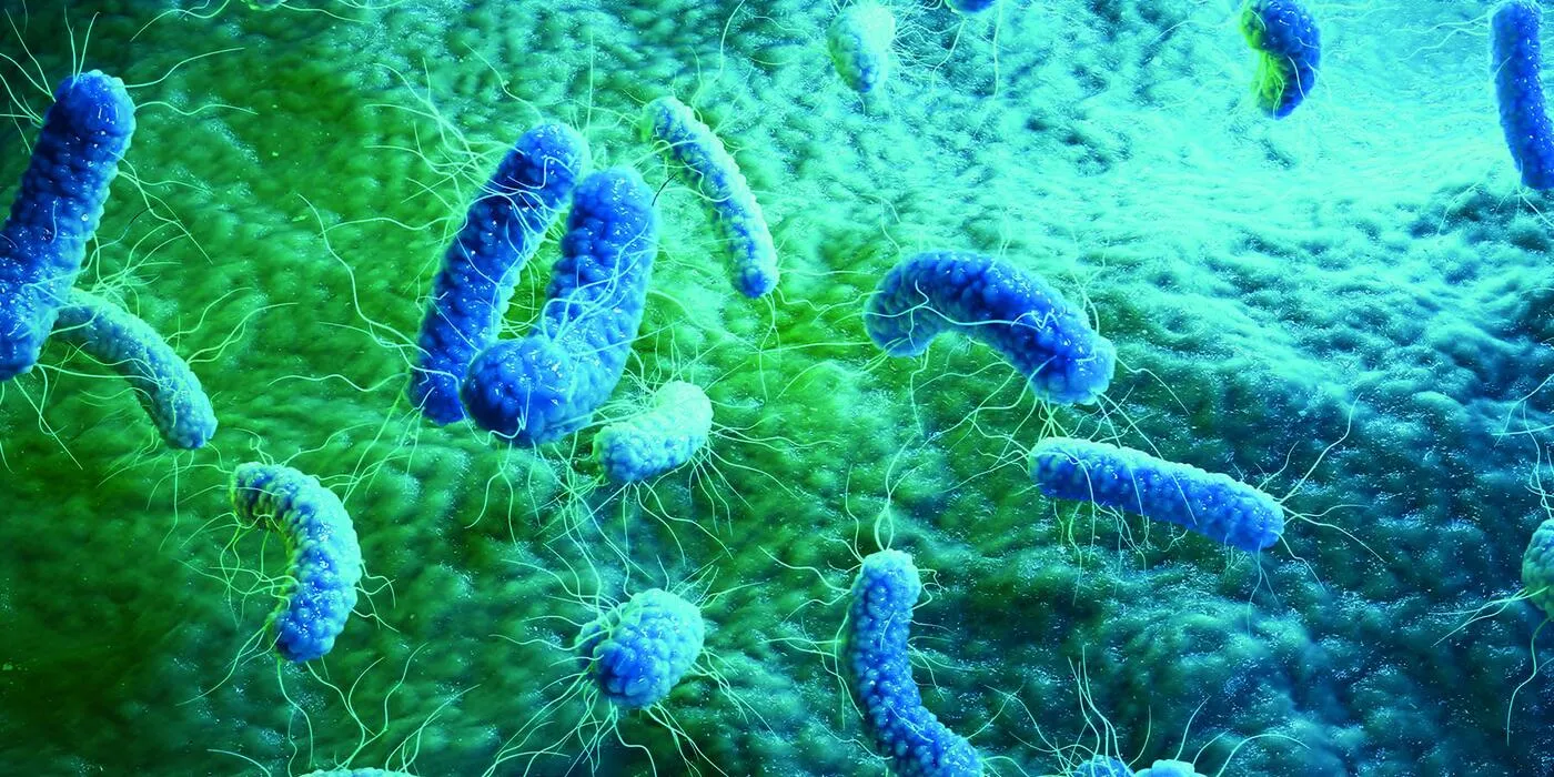 New Class of Antibiotics Active Against a Wide Range of Bacteria