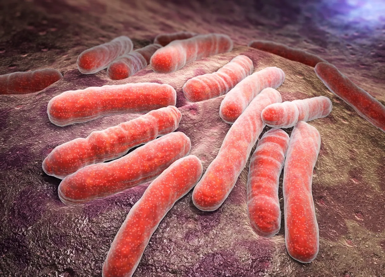 NIH Scientists Identify Nutrient that Helps Prevent Bacterial Infection