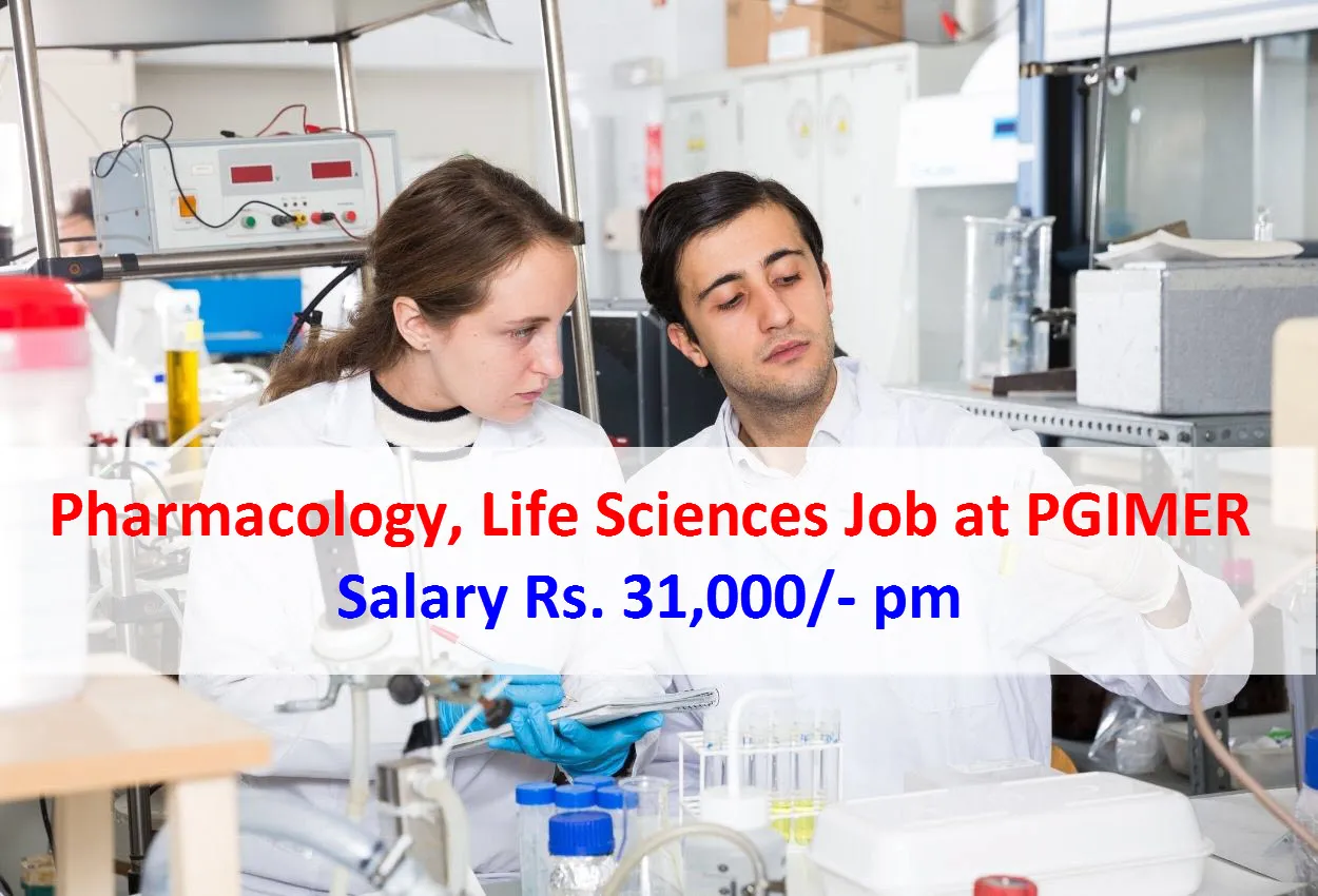 Pharmacology  Life Sciences Job at PGIMER