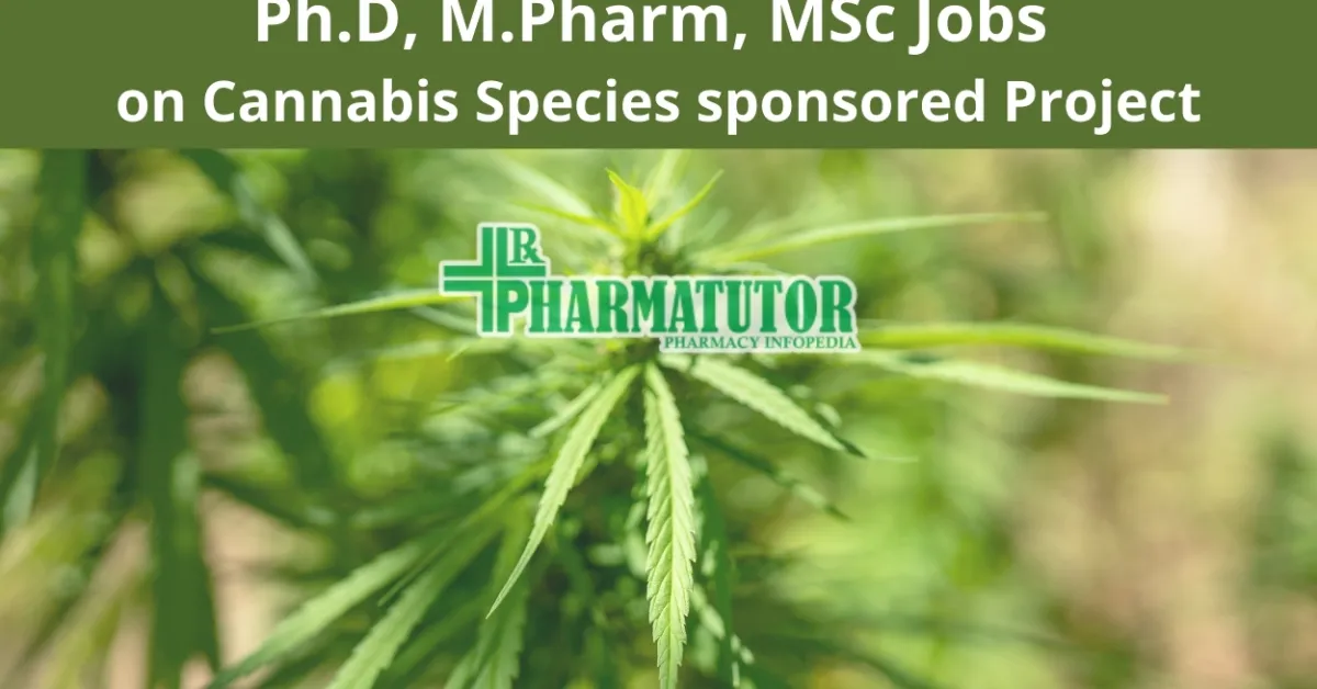 Ph.D, M.Pharm, MSc Jobs at Centre for Transgenic Plant Development