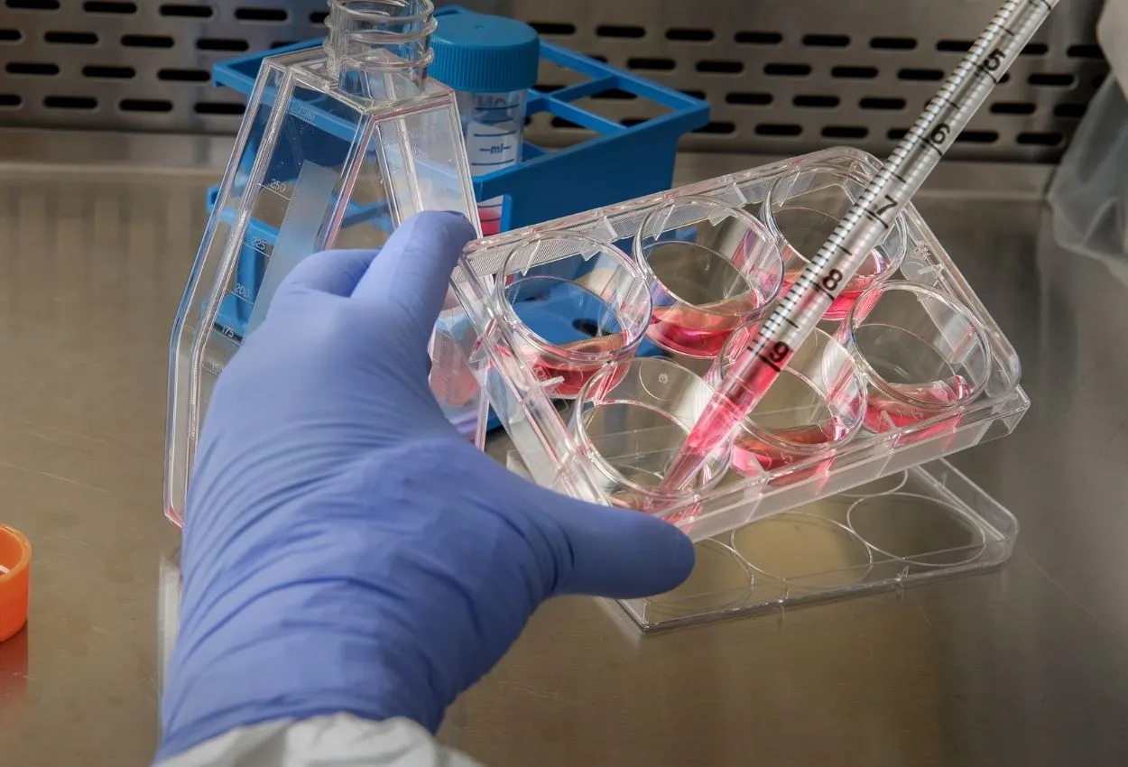 vaccine development for leishmaniasis
