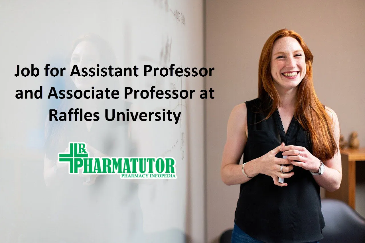 Job for Assistant Professor and Associate Professor at Raffles University
