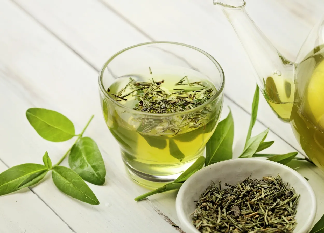 Green Tea Compound Aids Tumor-Suppressing, DNA-Repairing Protein