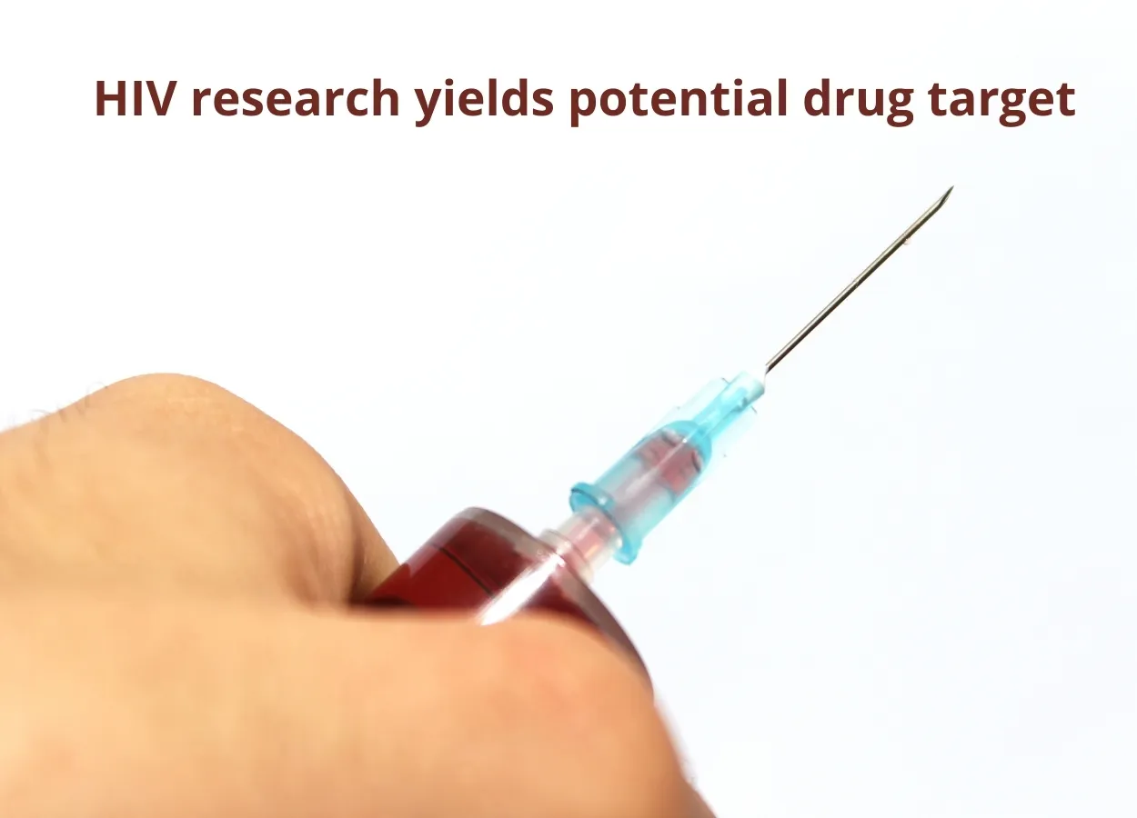 HIV research yields potential drug target