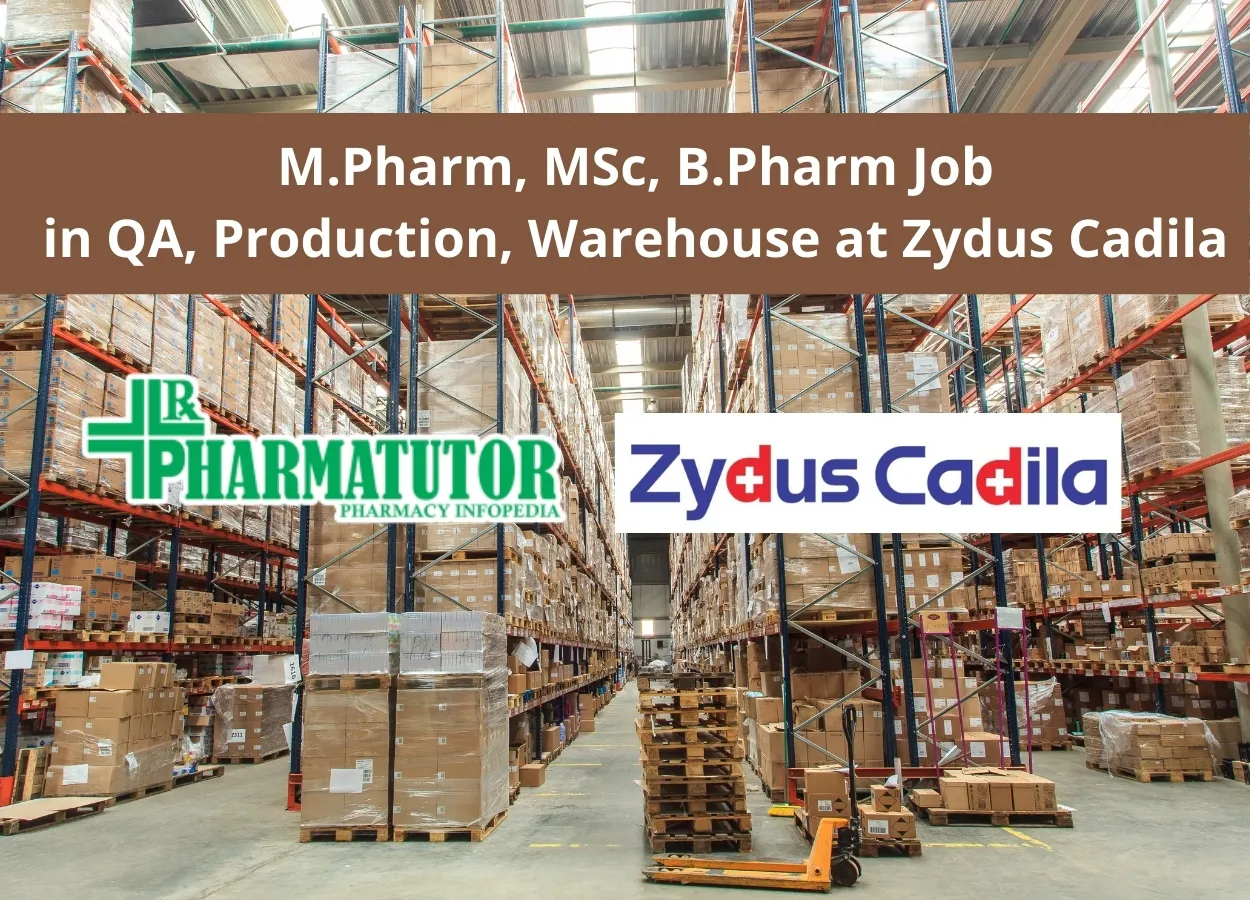 Zydus Cadila Job