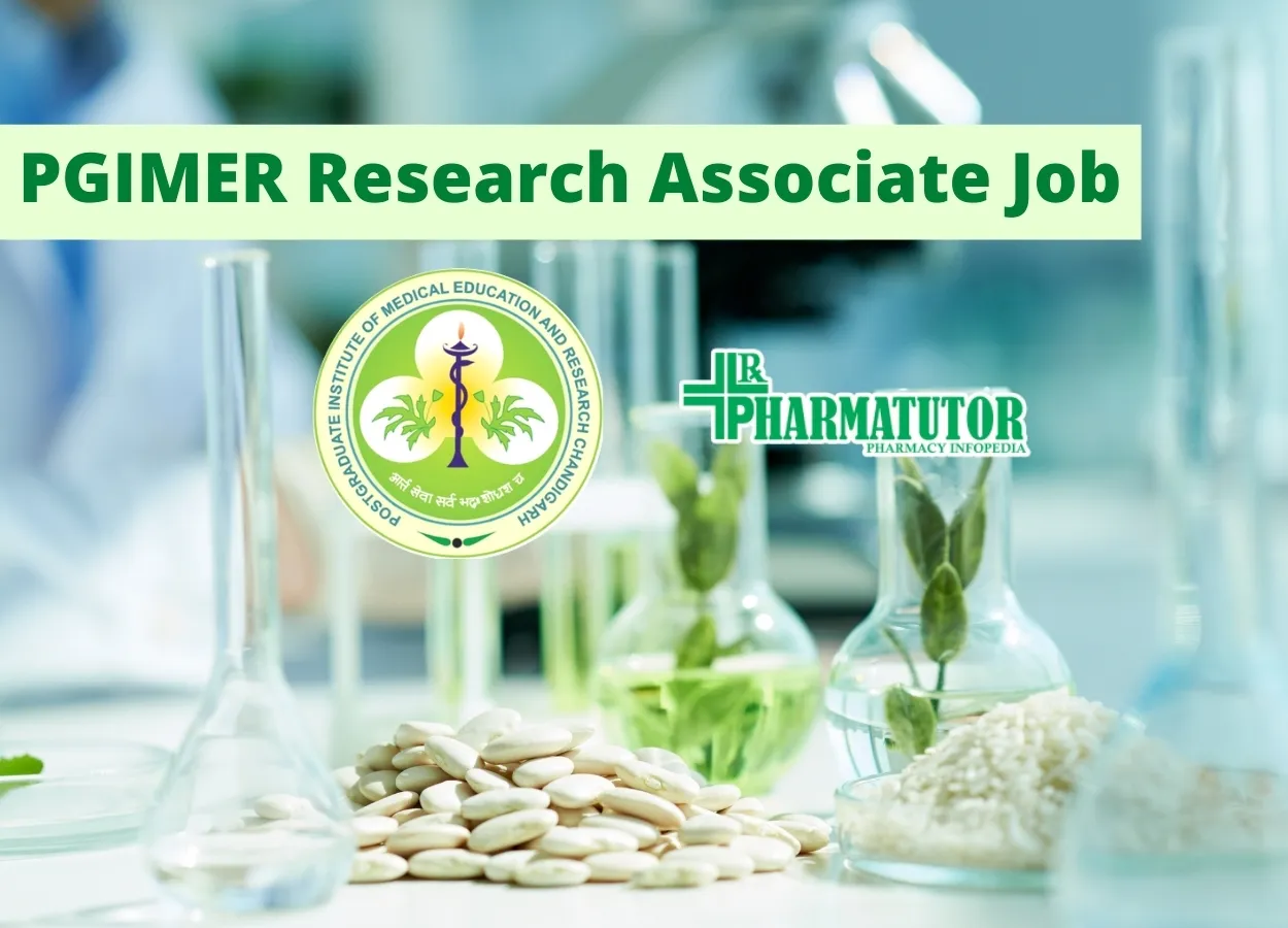 PGIMER Research Associate Job