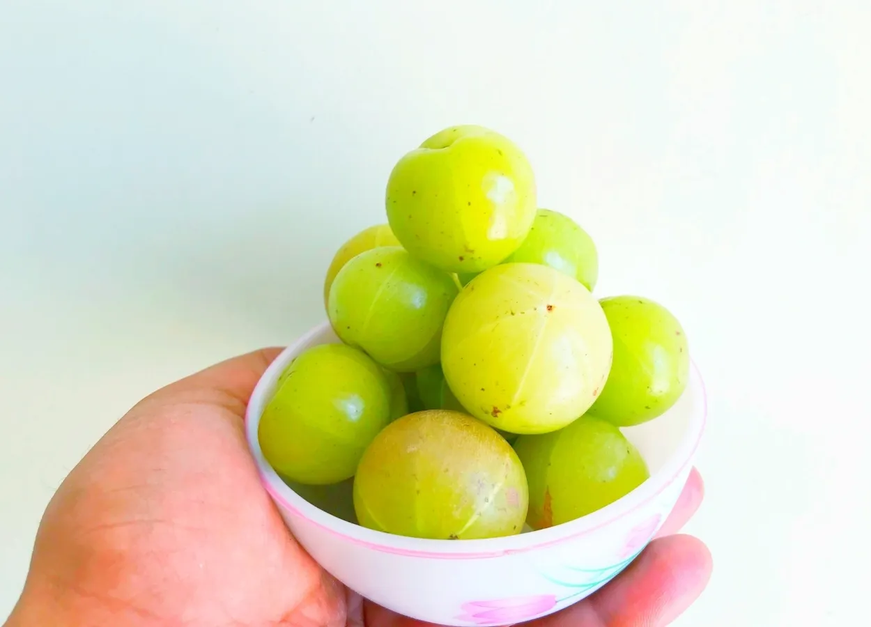 Amalaki Rasayana is effective in cardiac hypertrophy