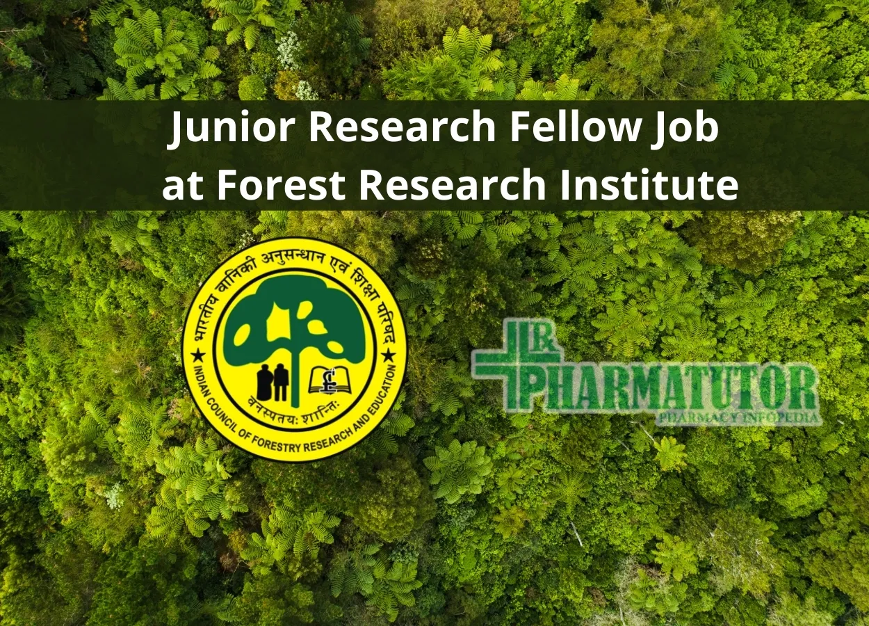 Junior Research Fellow Job at Forest Research Institute
