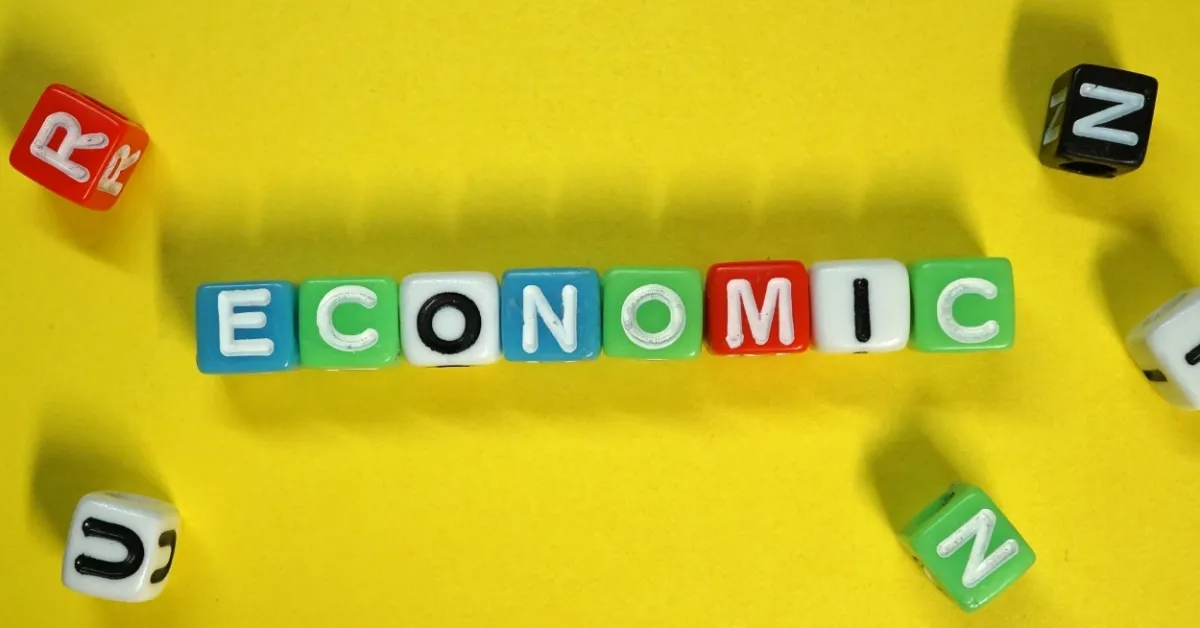 THE SOCIO-ECONOMIC IMPLICATIONS OF THE COVID-19 PANDEMIC IN INDIA : A REVIEW