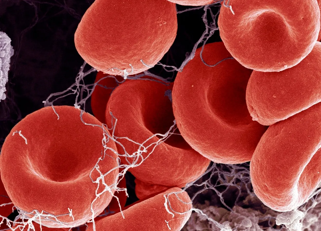 AstraZeneca vaccine unlikely to cause blood clots, says MHRA