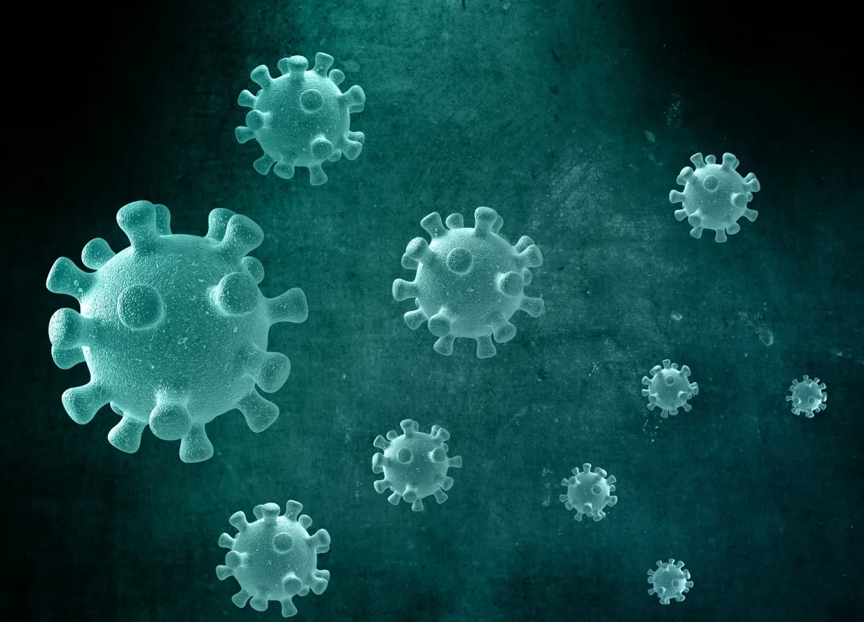 Cold-virus saved lives from corona virus