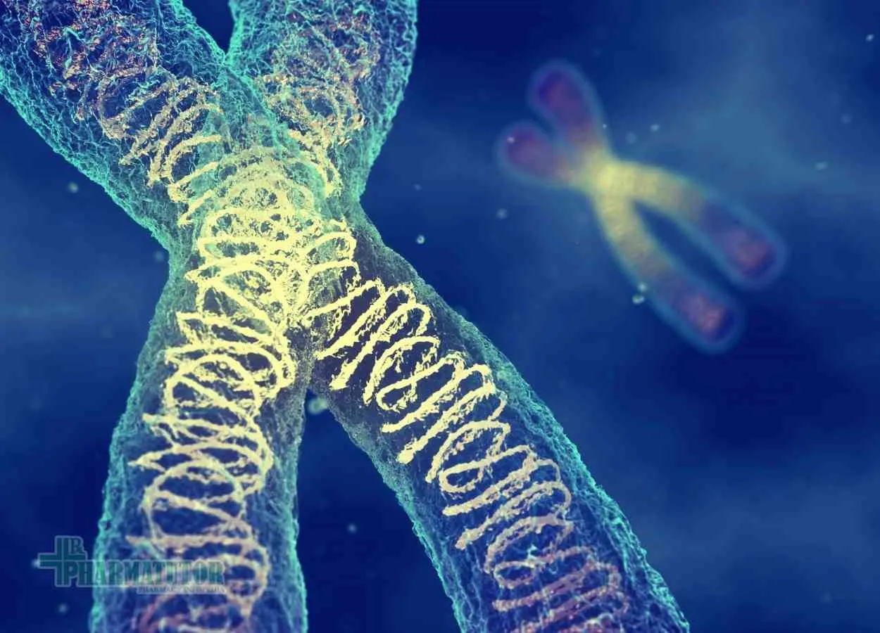 human genes that fight COVID-19 infection
