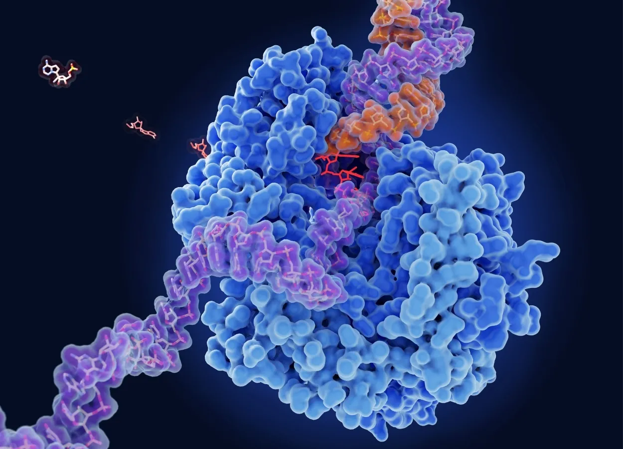 Genome Sequencing Shows New Coronavirus Variants Drive Pandemic Surges