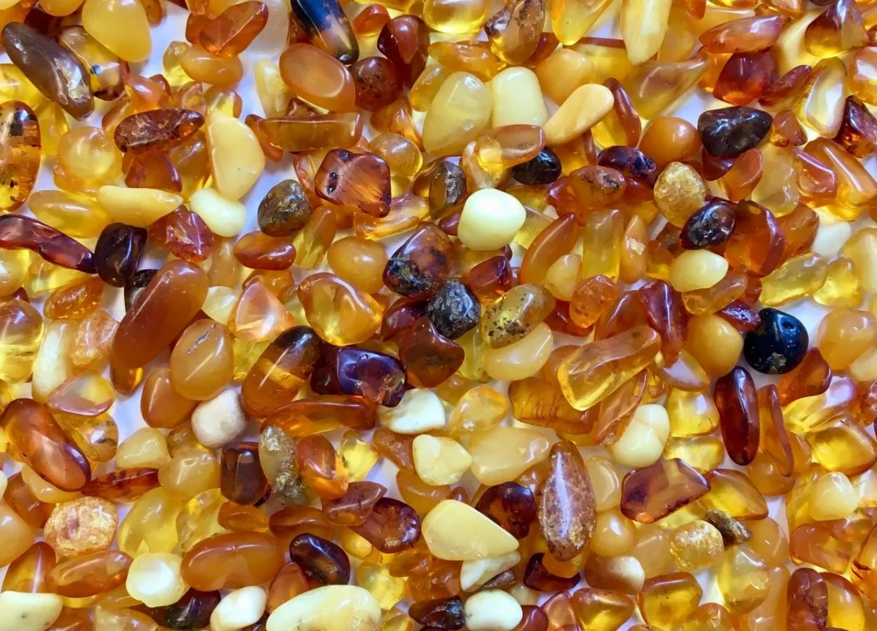 Paleopharmaceuticals from Baltic amber might fight drug-resistant infections 