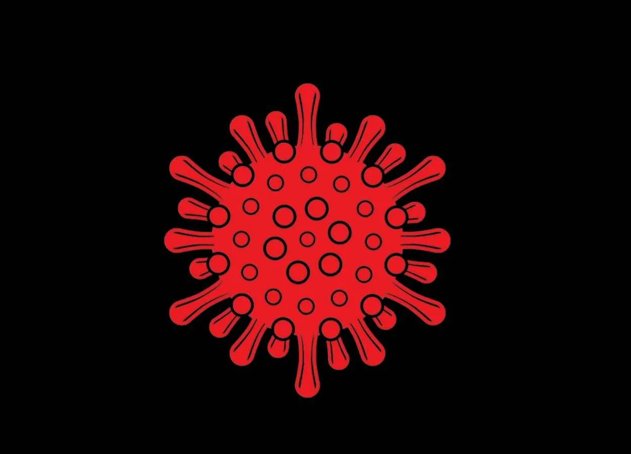 Triangular-shaped spikes key to coronavirus transmission