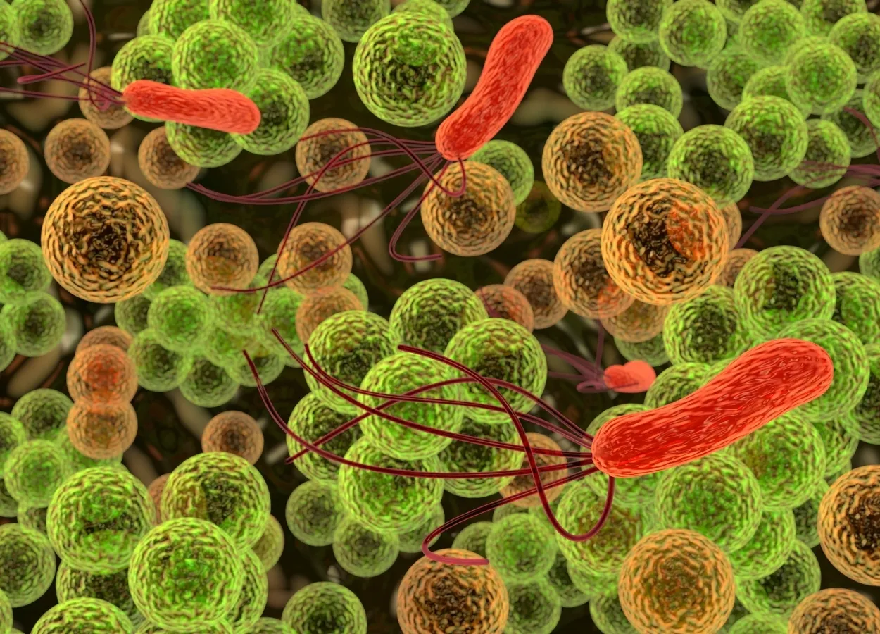 Antibacterial, Antifungal and Virucidal against SARS virus