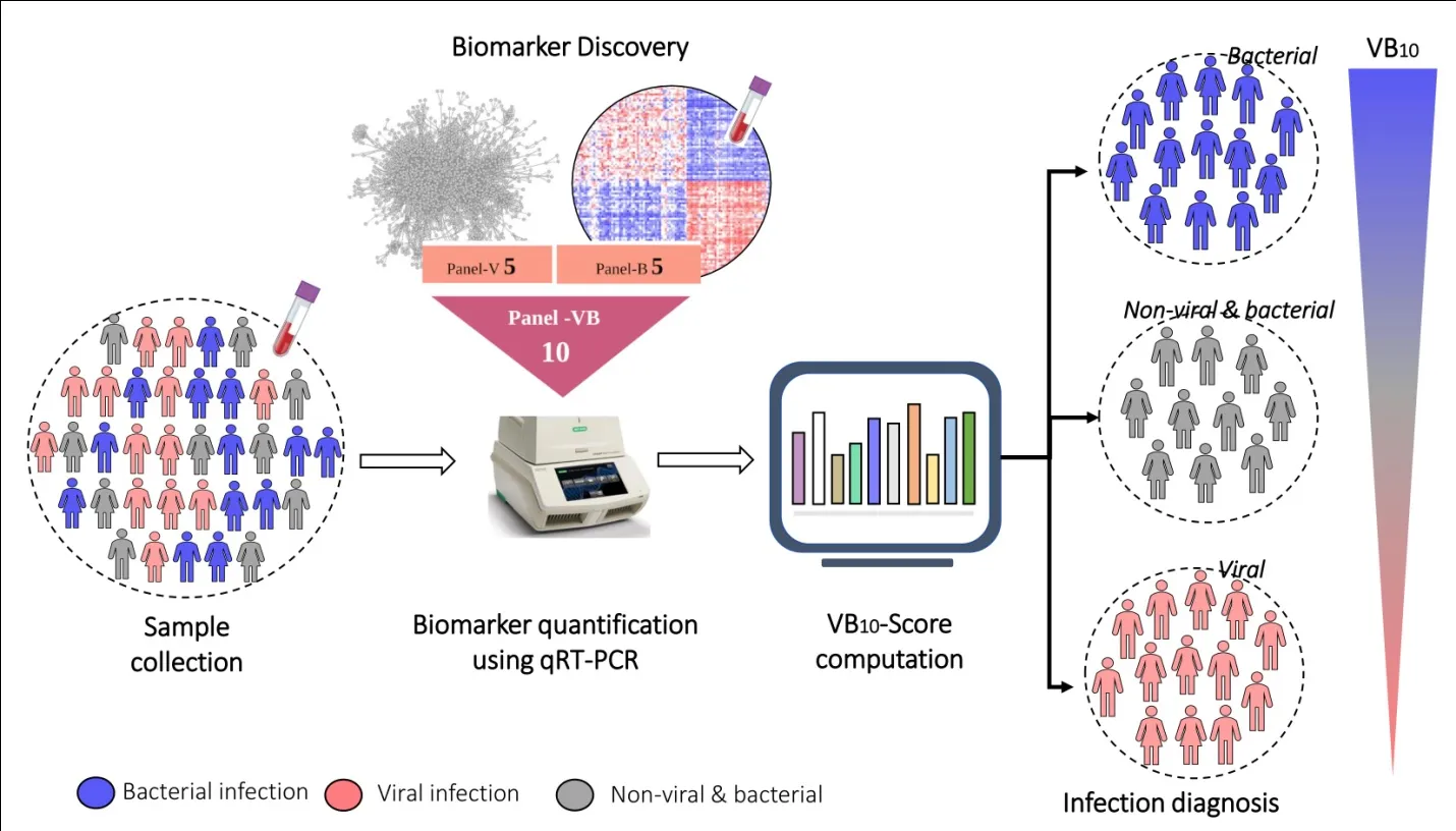 New biomarker to distinguish between bacterial and viral infections 