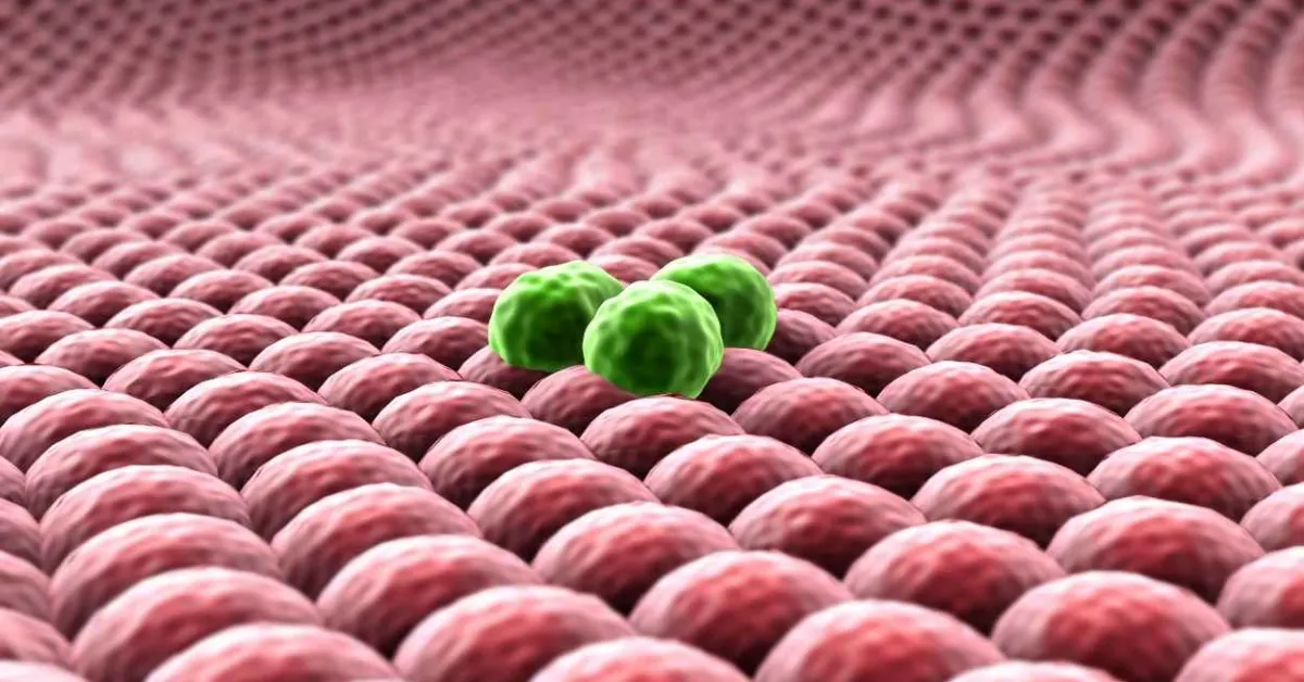 RYBREVANT got FDA Approval as the First Targeted Treatment for Patients with Non-Small Cell Lung Cancer