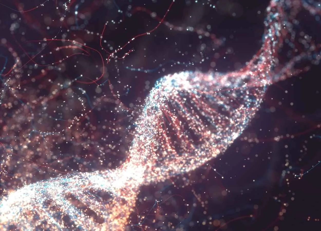 Human Reverse Transcriptase can Write RNA Sequences into DNA, Research