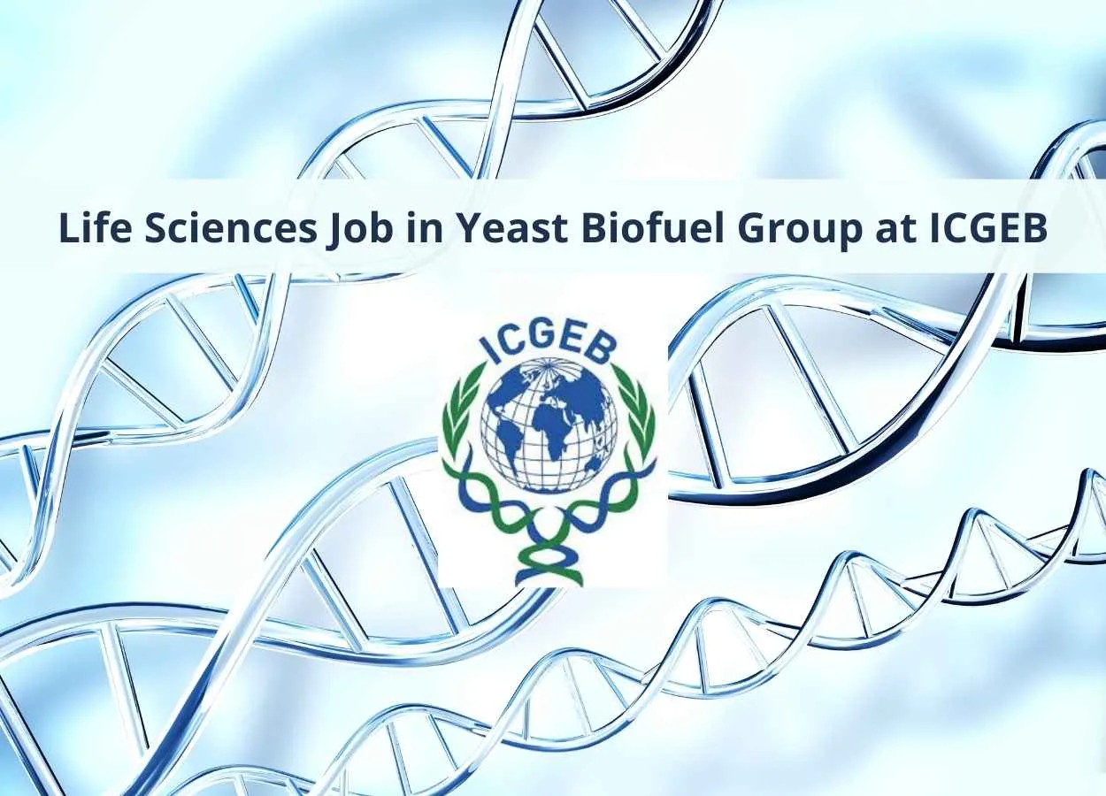 Life Sciences Job in Yeast Biofuel Group at ICGEB
