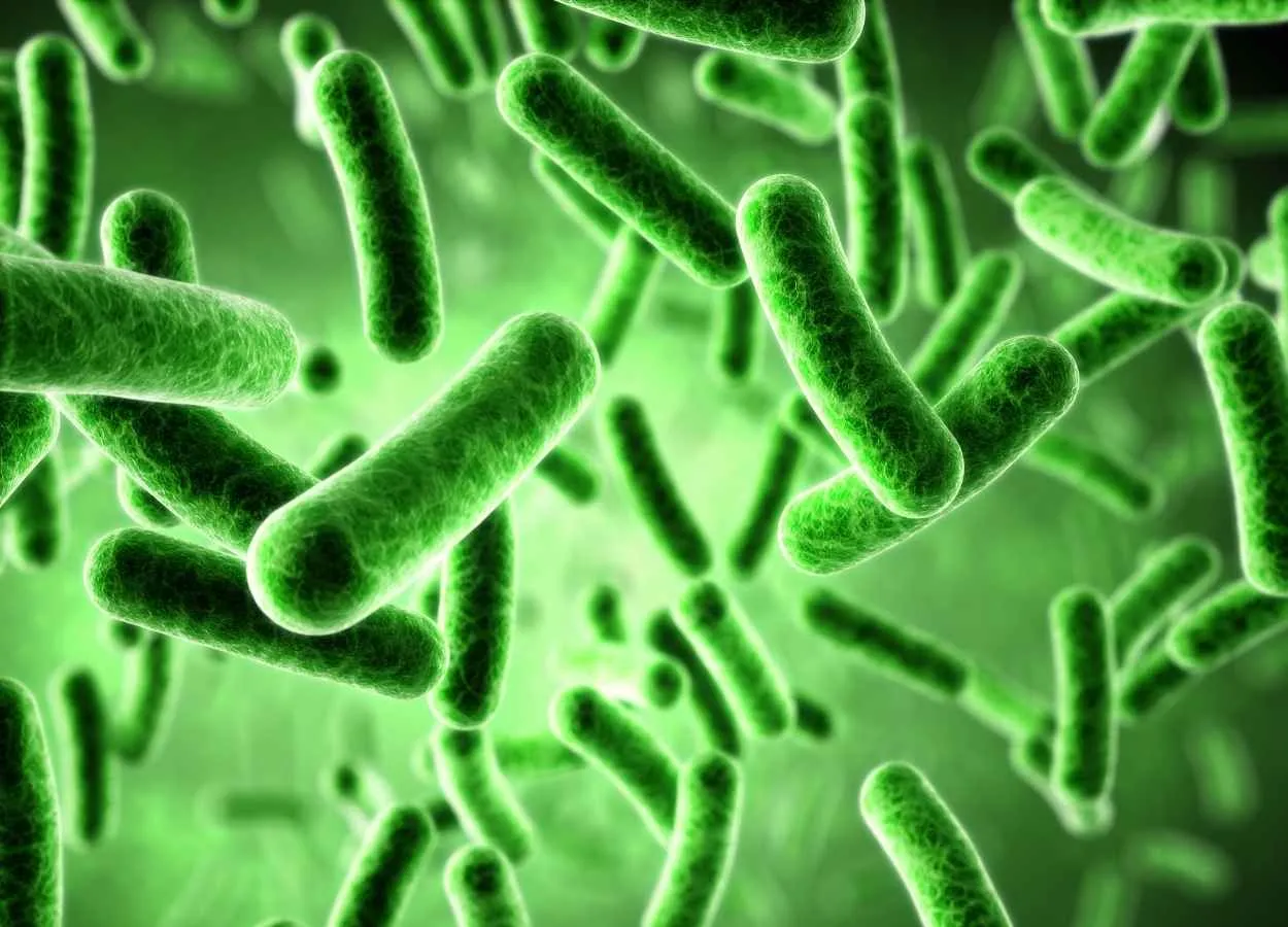 New Technique Allows for Identification of Potential Drugs to Fight Resistant Bacteria