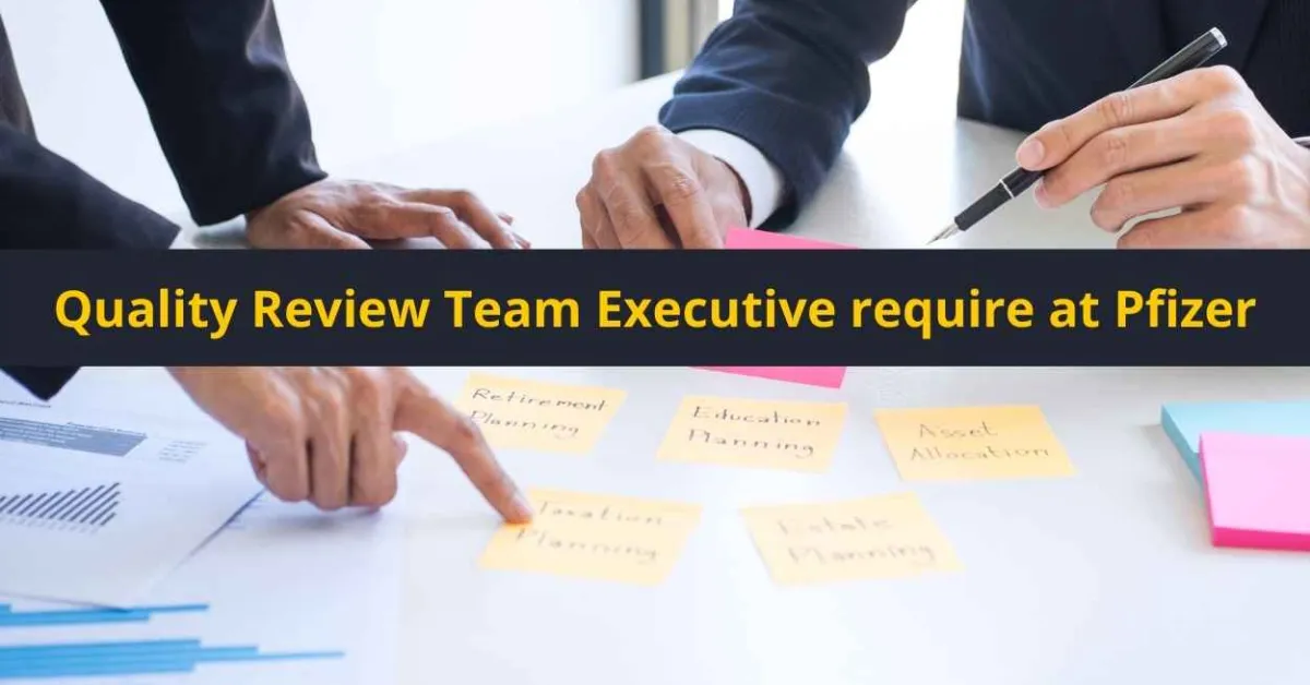 Quality Review Team Executive require at Pfizer