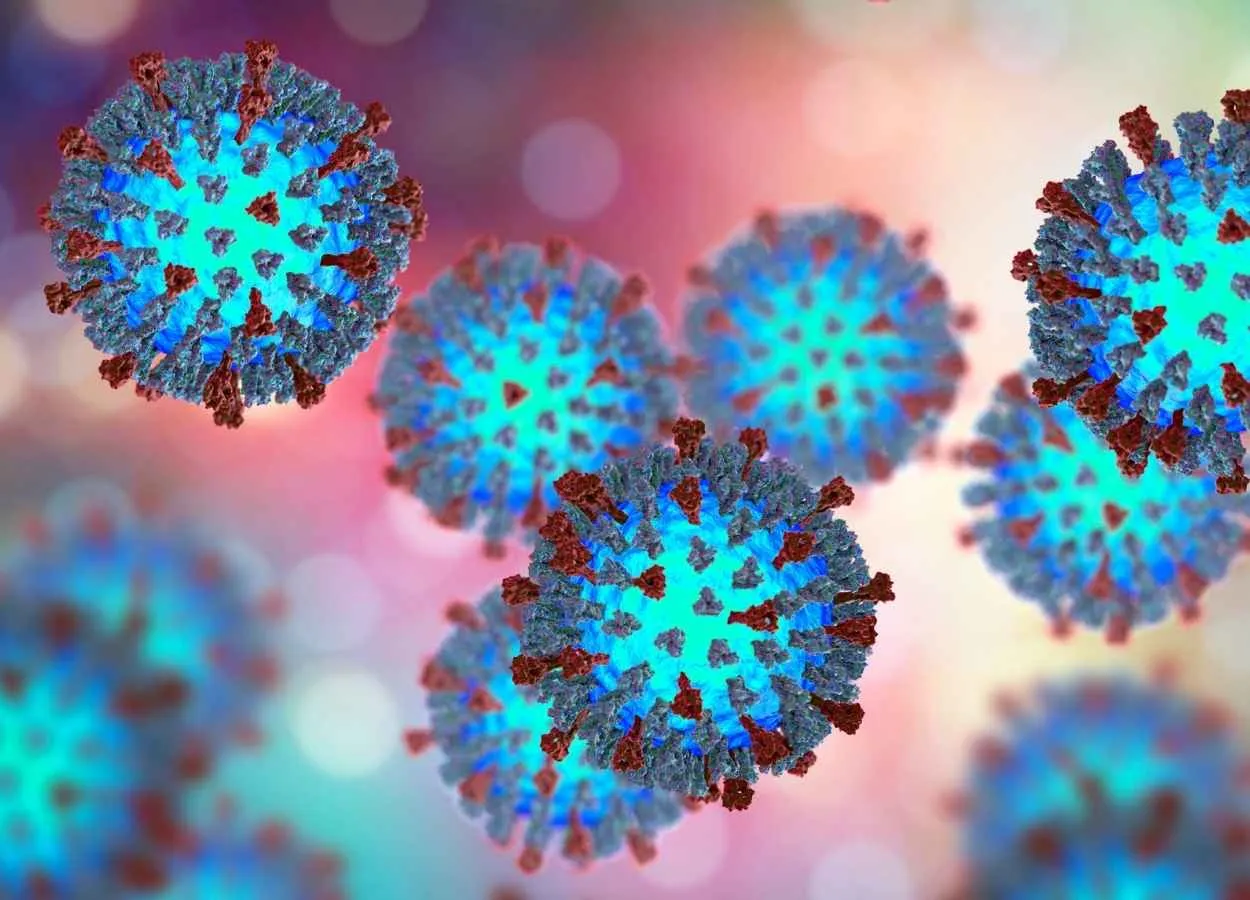 the potential of viruses to fight cancer