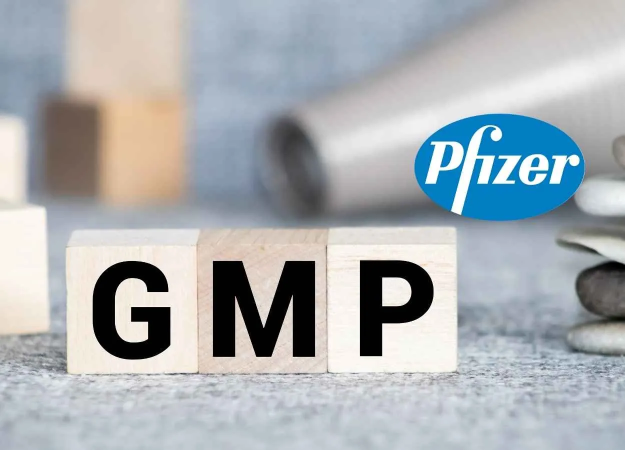 Work as Executive GMP training at Pfizer