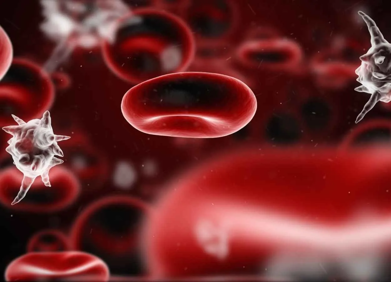 Connective Tissue Protein Fights Bacterial Infections While Restraining Immune Overreaction in Sepsis
