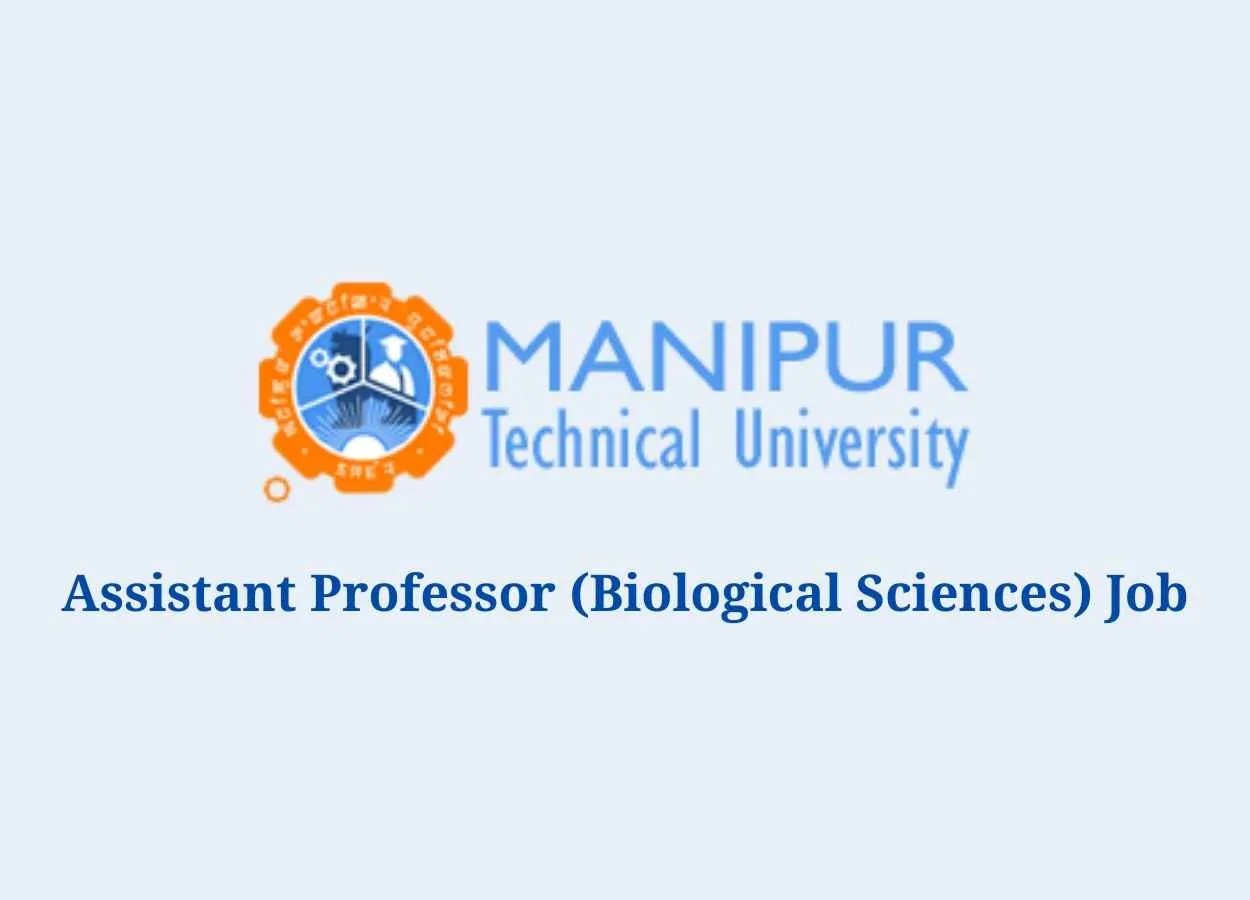 Job for Assistant Professor at Manipur Technical University