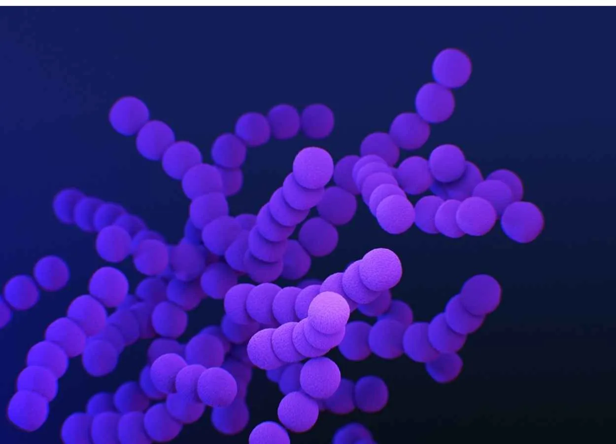 Model can predict how drug interactions influence antibiotic resistance
