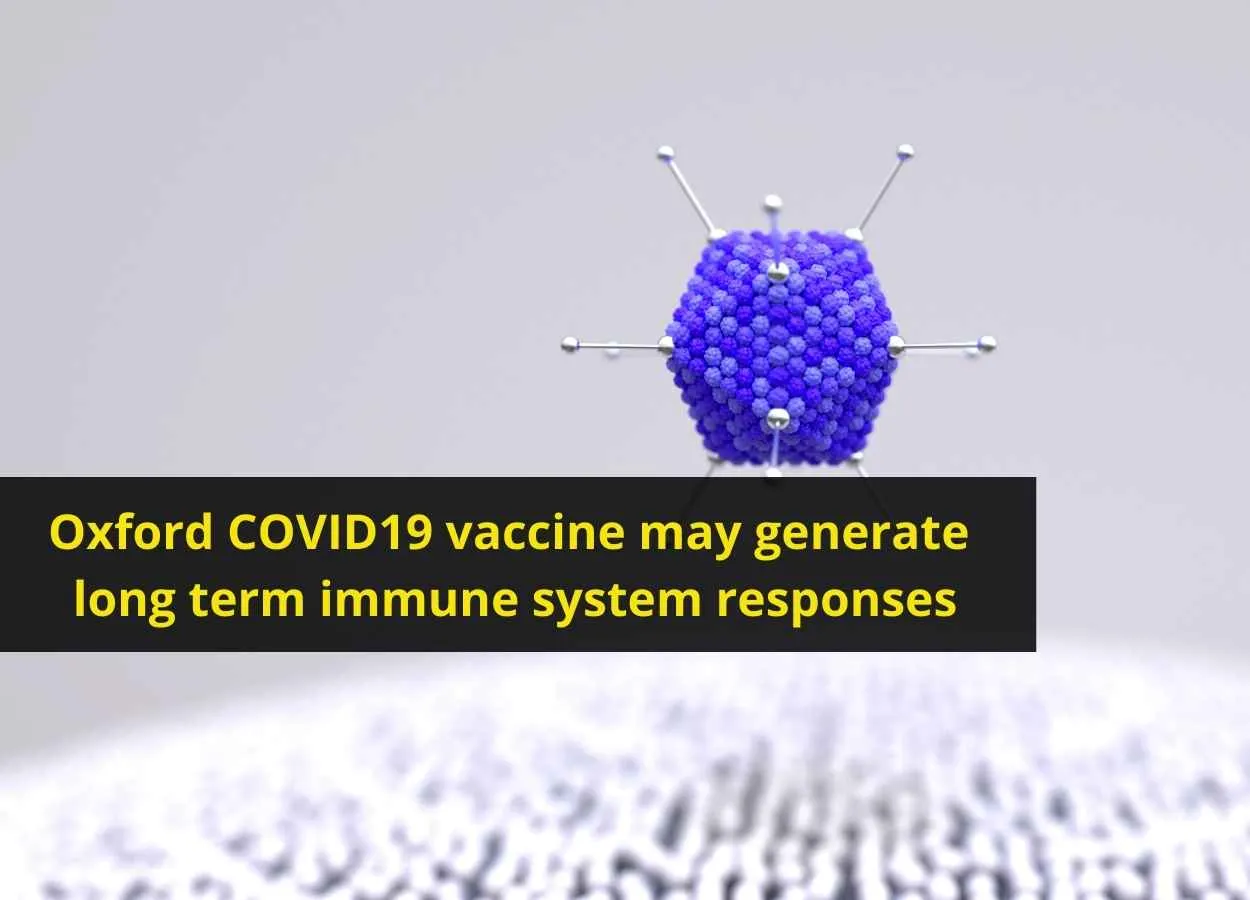 Oxford COVID19 vaccine may generate long term immune system responses