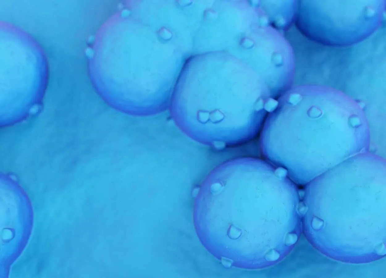 US FDA grants Priority Review to Roche’s Tecentriq as adjuvant treatment for certain people with early non-small cell lung cancer