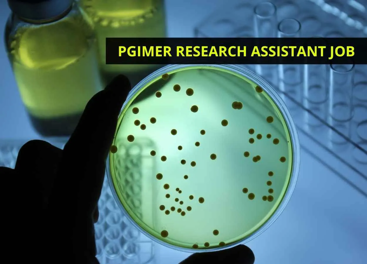 Vacancy for Research Assistant at PGIMER