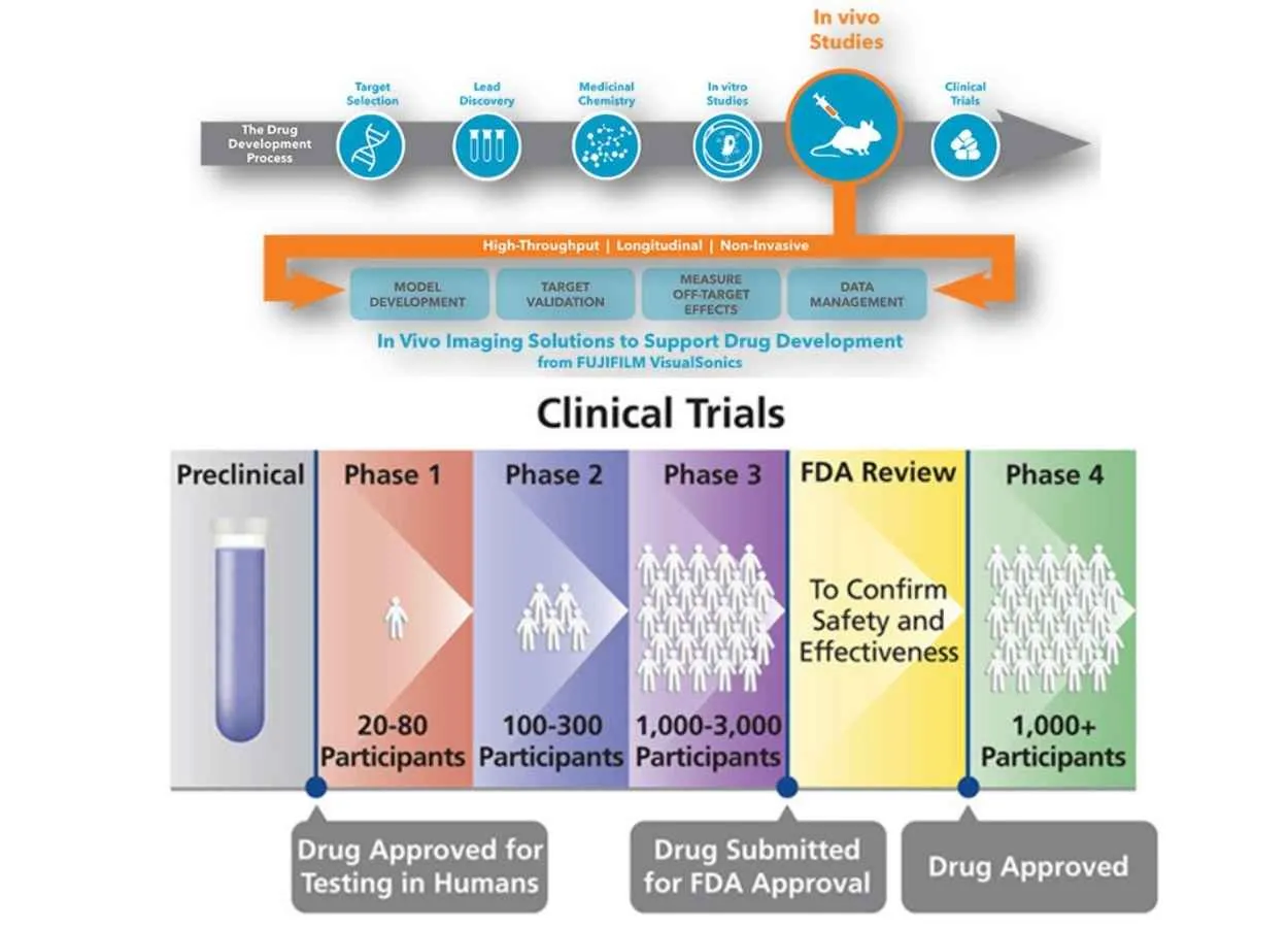 AN OVERVIEW OF NEW DRUG DISCOVERY AND DEVELOPMENT