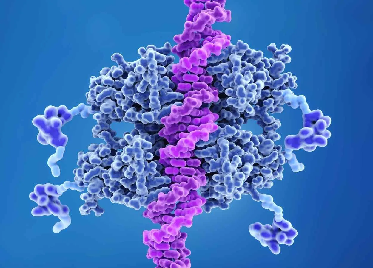 Recent cancer research therapies targeting mutant p53