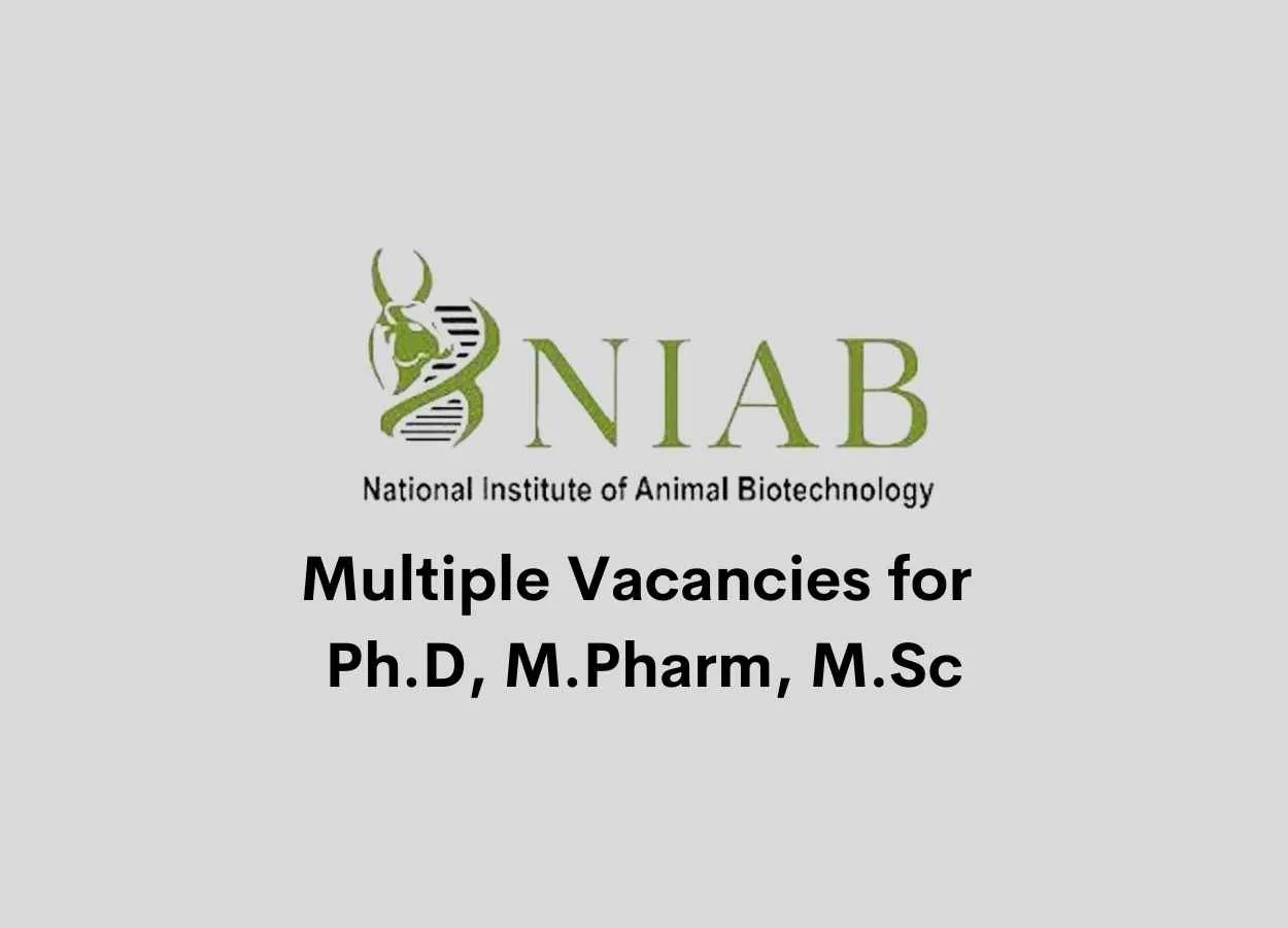 Multiple Vacancies for Ph.D, M.Pharm, M.Sc at NIAB