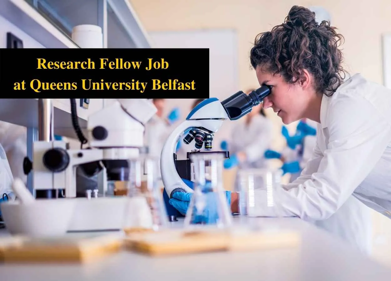 Opportunity for Research Fellow at Queens University Belfast