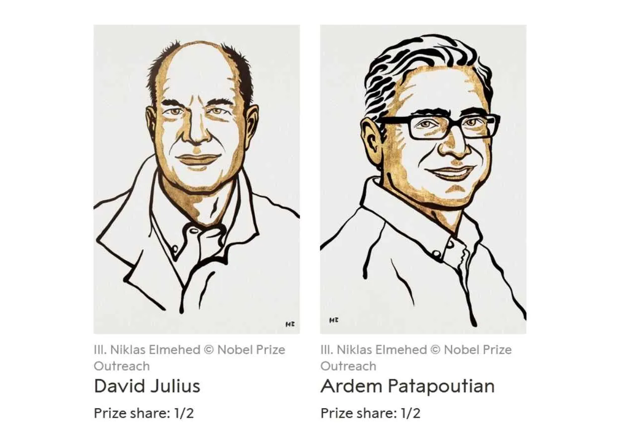 The Nobel prize in medicine 2021 for discoveries of temperature and touch receptors
