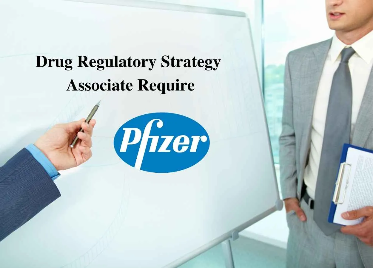 Drug Regulatory Strategy Associate Require at Pfizer