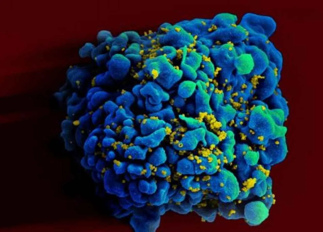 Experimental mRNA HIV Vaccine Safe